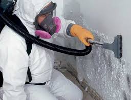 Best HVAC Mold Inspection and Cleaning in New Burlington, OH